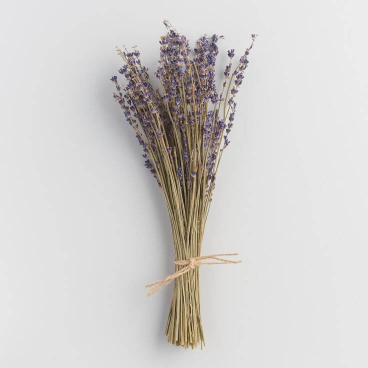 Dried Lavender bouquet - Naturverse