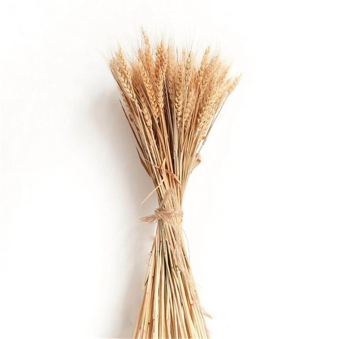 Dried Wheat Ears Bouquet - Naturverse