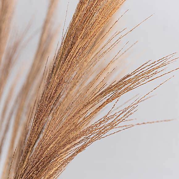 Dried Broom Grass - 4 Stems - Naturverse