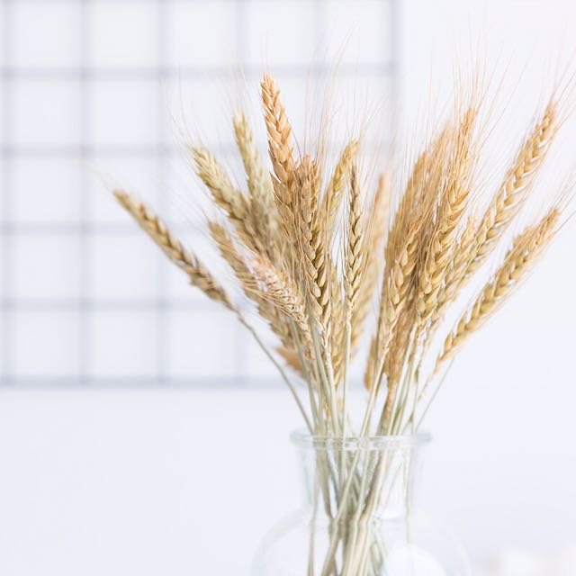 Dried Wheat Ears Bouquet - Naturverse